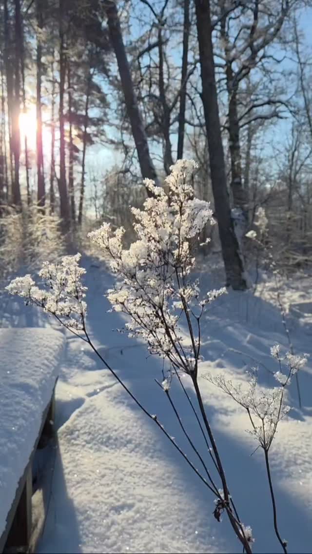 A sudden but lovely shift. ☀️
Winter was really cold this year here in northern Estonia, often around -15°C, or even below -20°C. Even the sea and rivers were covered with thick ice!
Now spring is finally arriving, and I’m feeling so excited for the new season. I'm planning to plant some seeds for our veggie garden soon. The temperature in the greenhouse was already +25°C yesterday. 🌱

----

Üleminek külmast talvest päikselisse kevadesse toimus sel aastal nii järsku. ☀️
Talv oli ilus ja erakordne, kuid ometi toob kevade ja laululindude saabumine palju rõõmu. Kasvuhoones oli eile päeval +25°C, et mõtted on juba peenarde loomisel ja taimekasvatusel. 🌱

#wintertospring #seasonchange #talvestkevadesse #kevadeestis