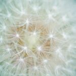 Tagasiside teraapiale