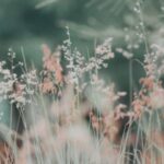 Tagasiside teraapiaseansile