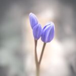 Tagasiside teraapiale