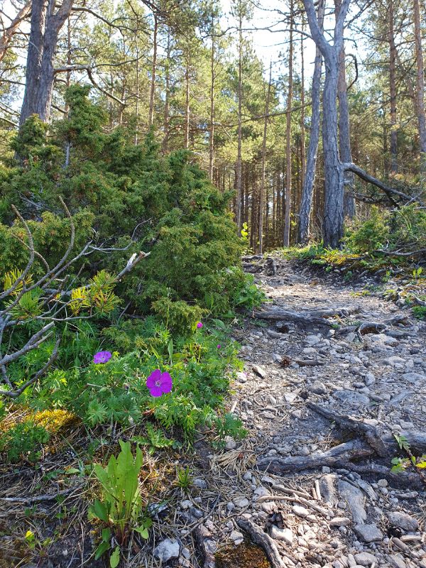 Responsibility and taking steps