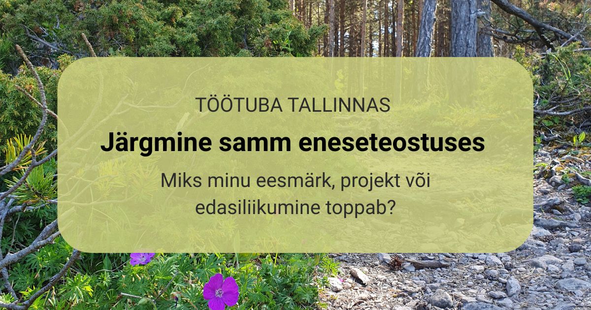 Enesearengu töötuba - Järgmine samm eneseteostuses