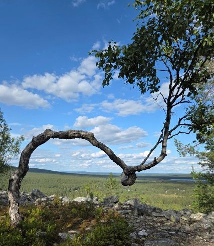 Enesetoetus ja uued algused